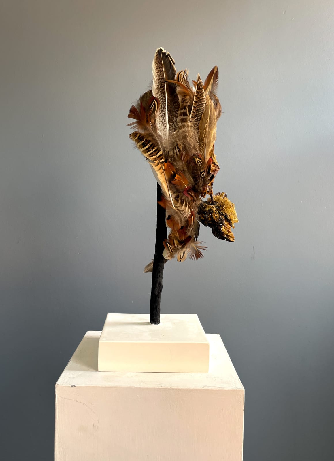 Jasmine Pradissitto, Dryad, 2022