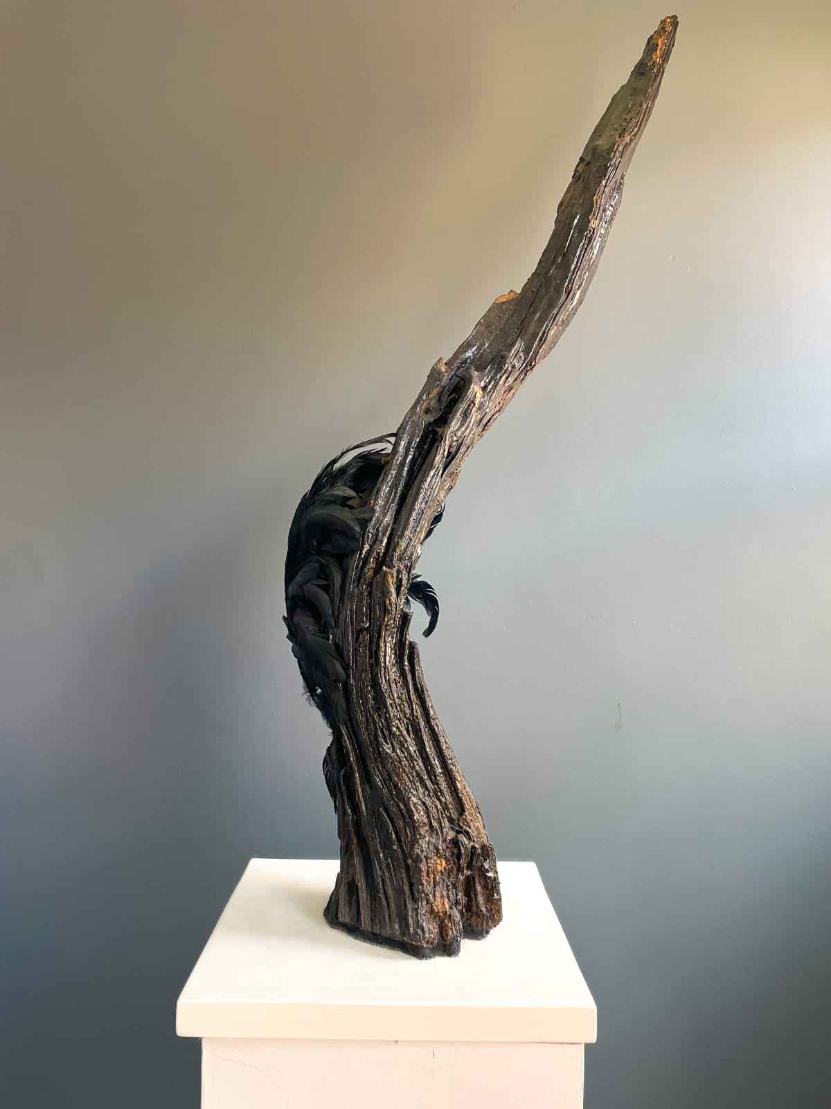 Jasmine Pradissitto, The bird who lost it's song, 2022