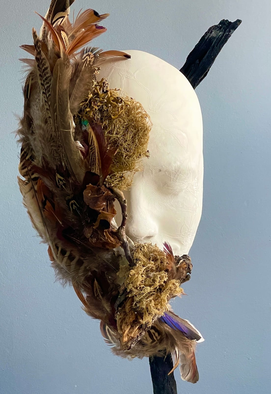 Jasmine Pradissitto, Dryad, 2022