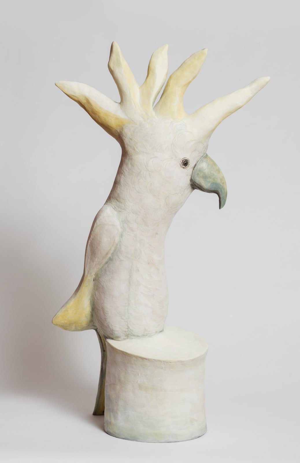 Bev Hogg, Sulphur Crested Cockatoo, 2024