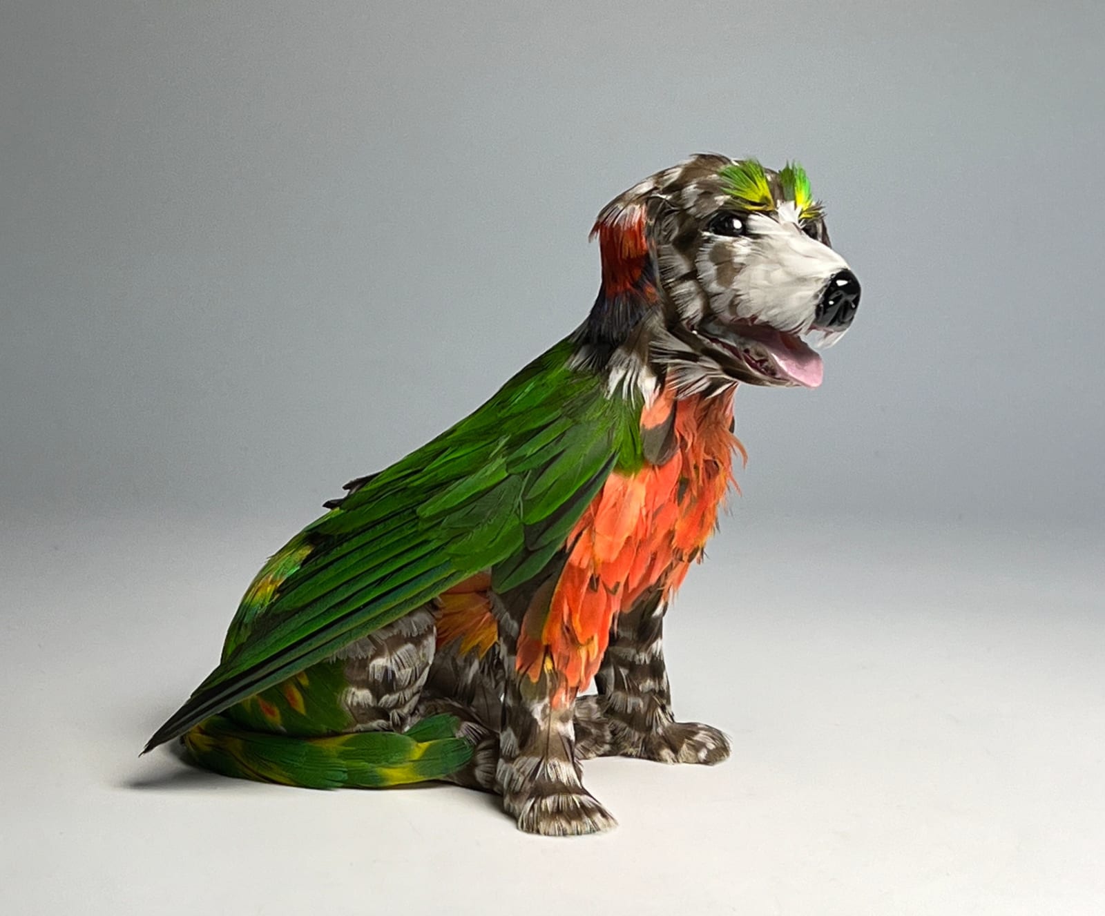 Emily Valentine, Bitsy Bob, 2025