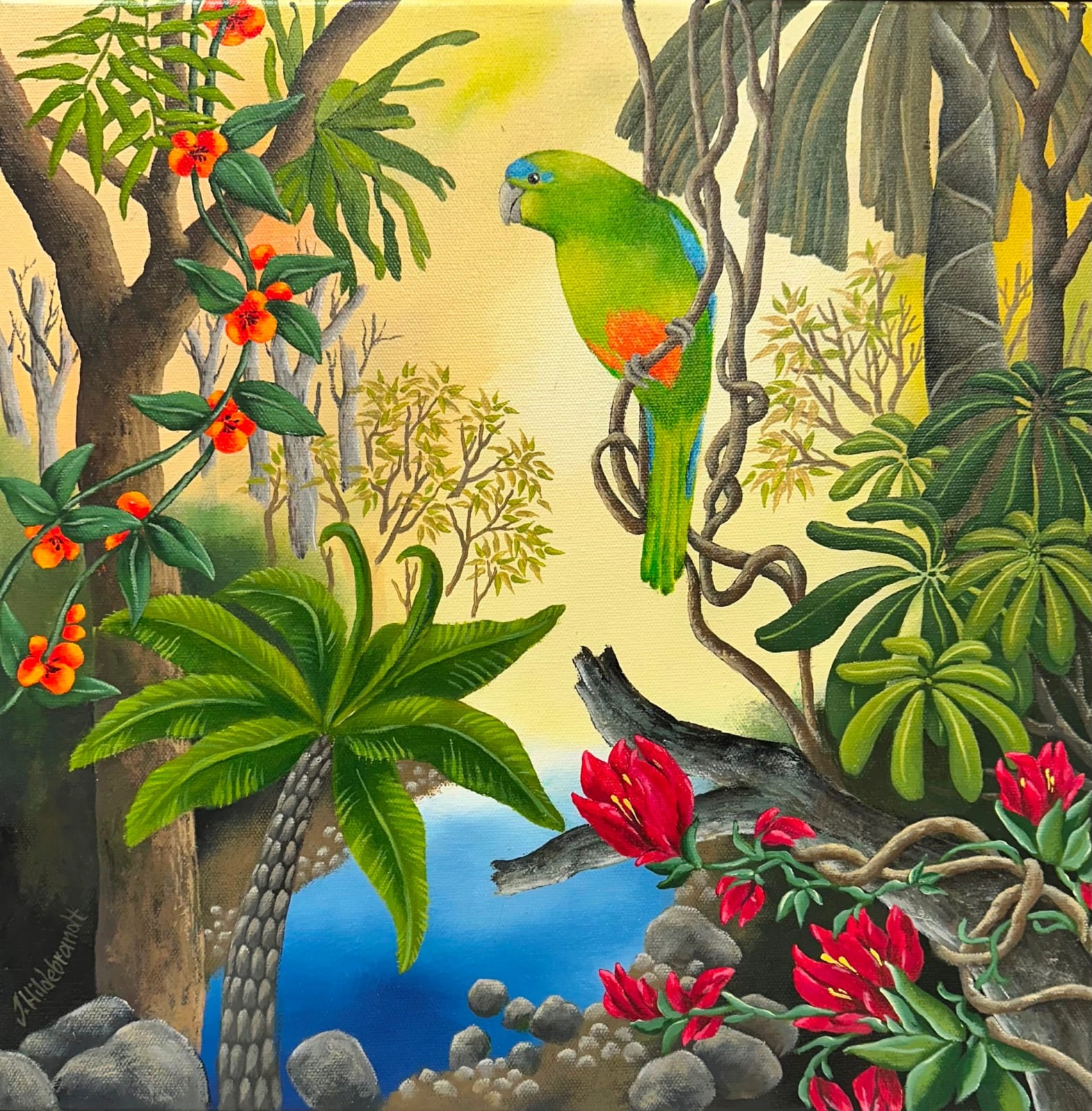 Johanna Hildebrandt, Orange Bellied Parrot, 2024