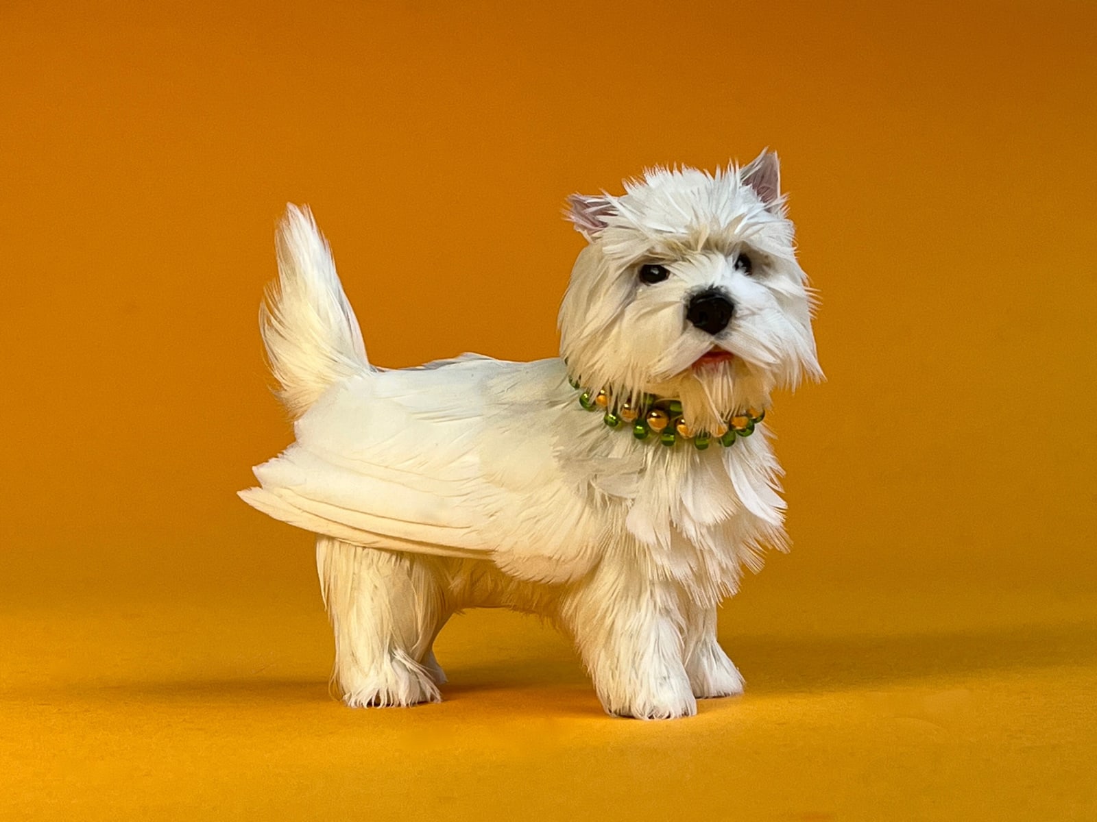 Emily Valentine, Angel of Newtown, 2025