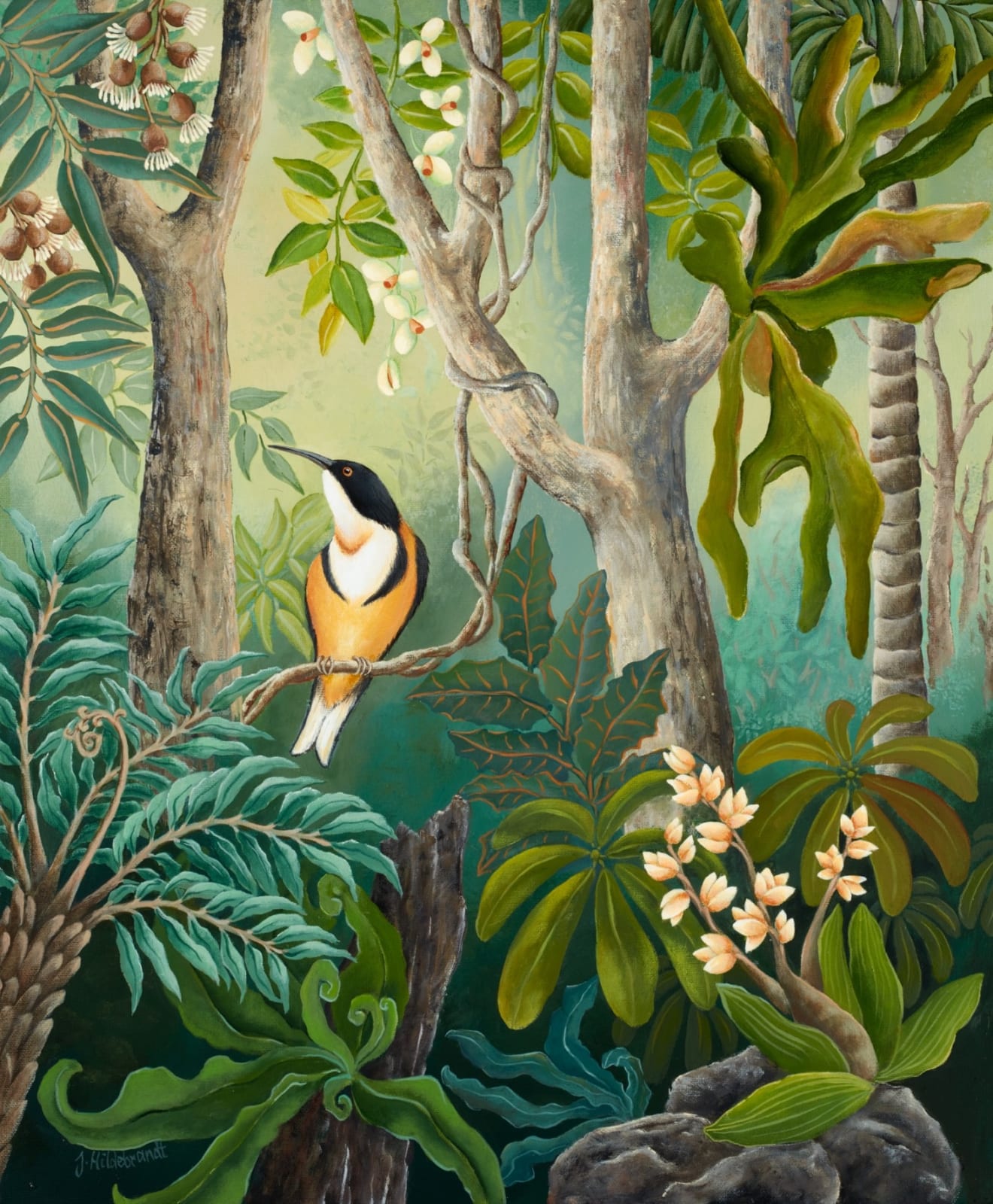 Johanna Hildebrandt, Honeyeater In The Forest, 2019