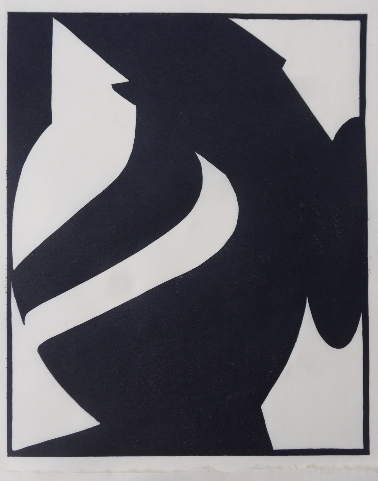 Hendrik Kolenberg, Dorothy's Bowl #2, 2016