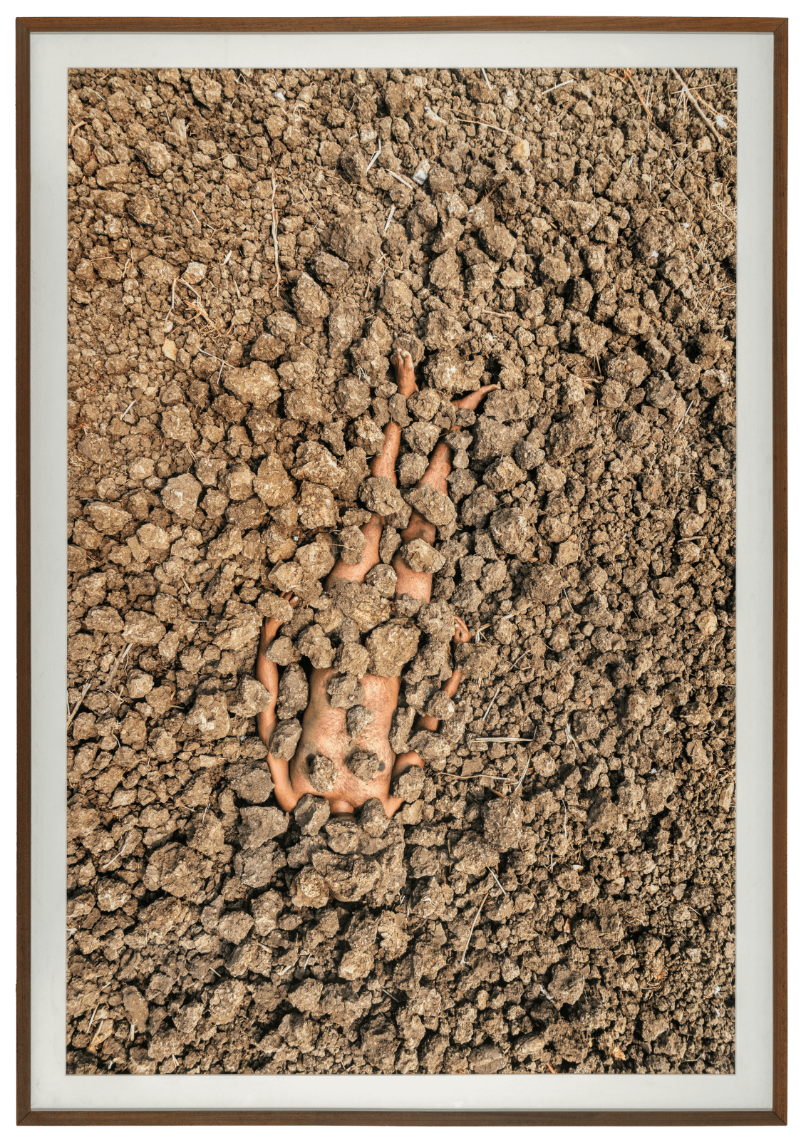 Madhu Das, A root in a dry ground, 2022