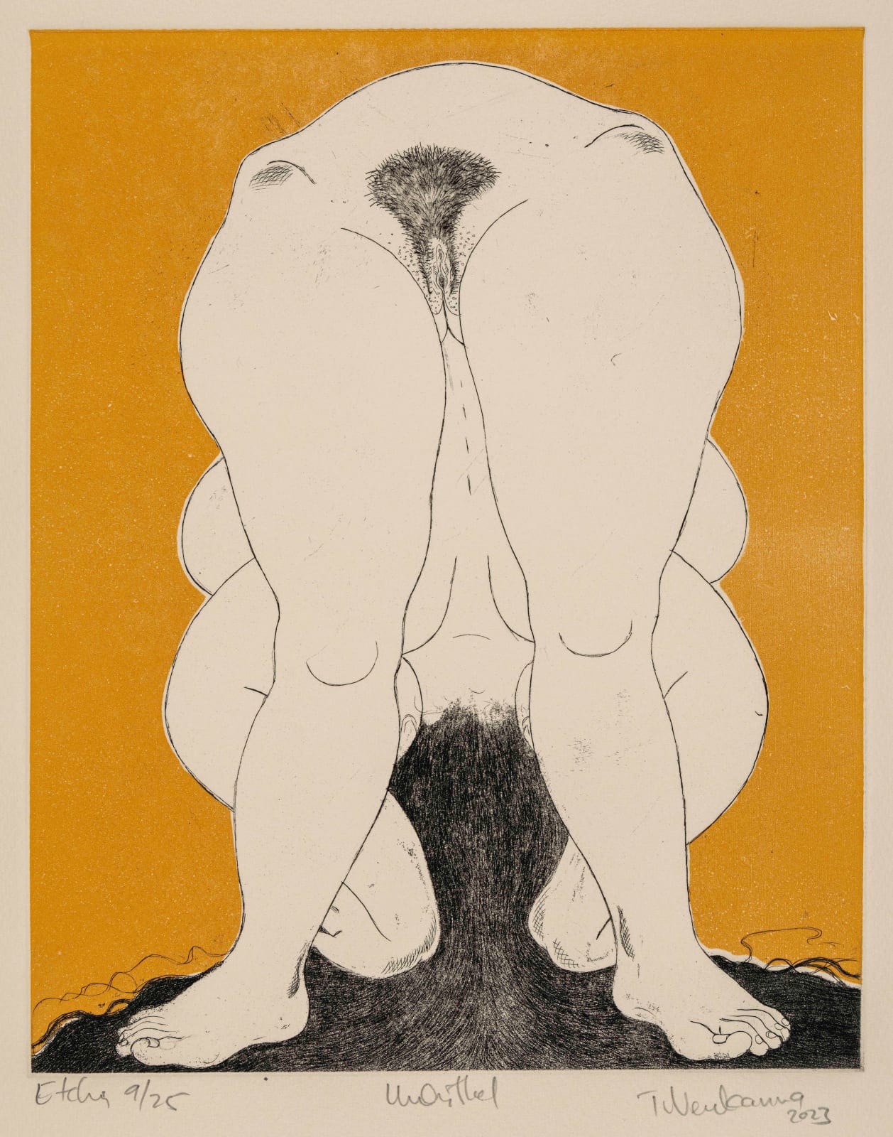 31.5 x 24.5 cm