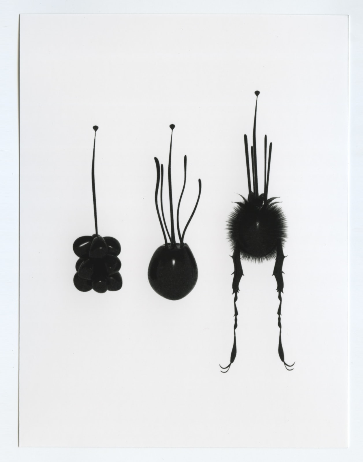 Abraham George, Song of Songs XIII, 2018