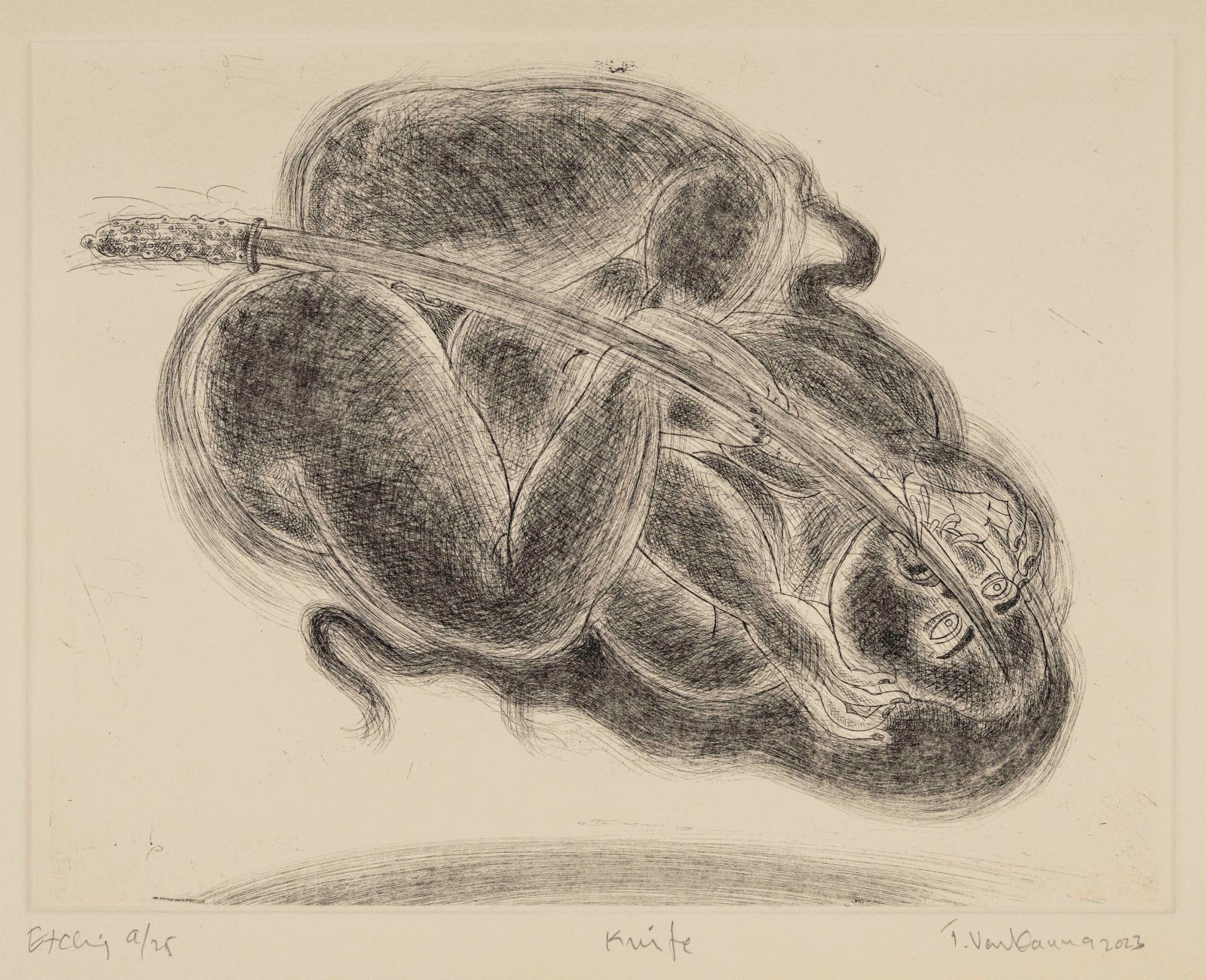 24.5 x 31.5 cm