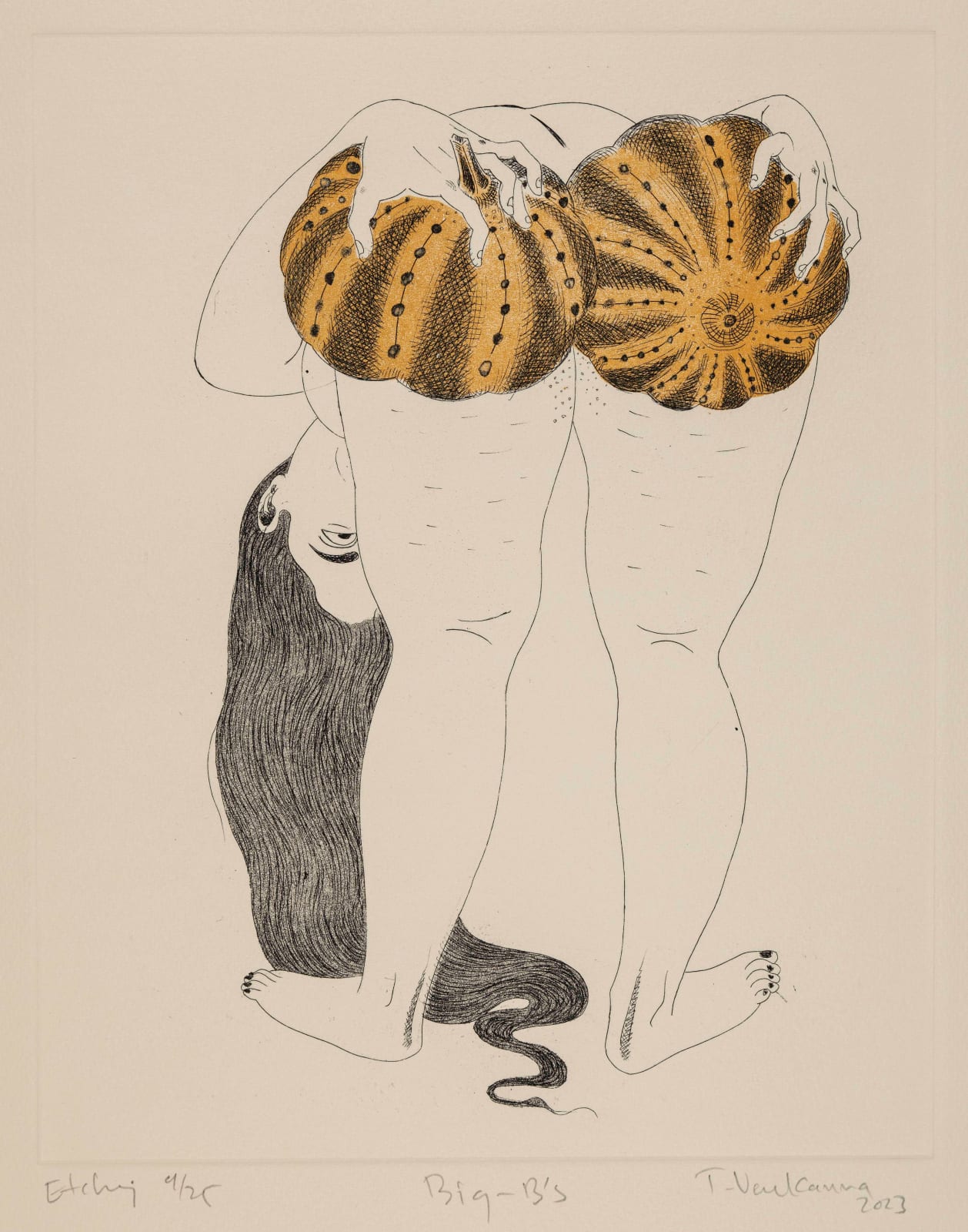 31.5 x 24.5 cm