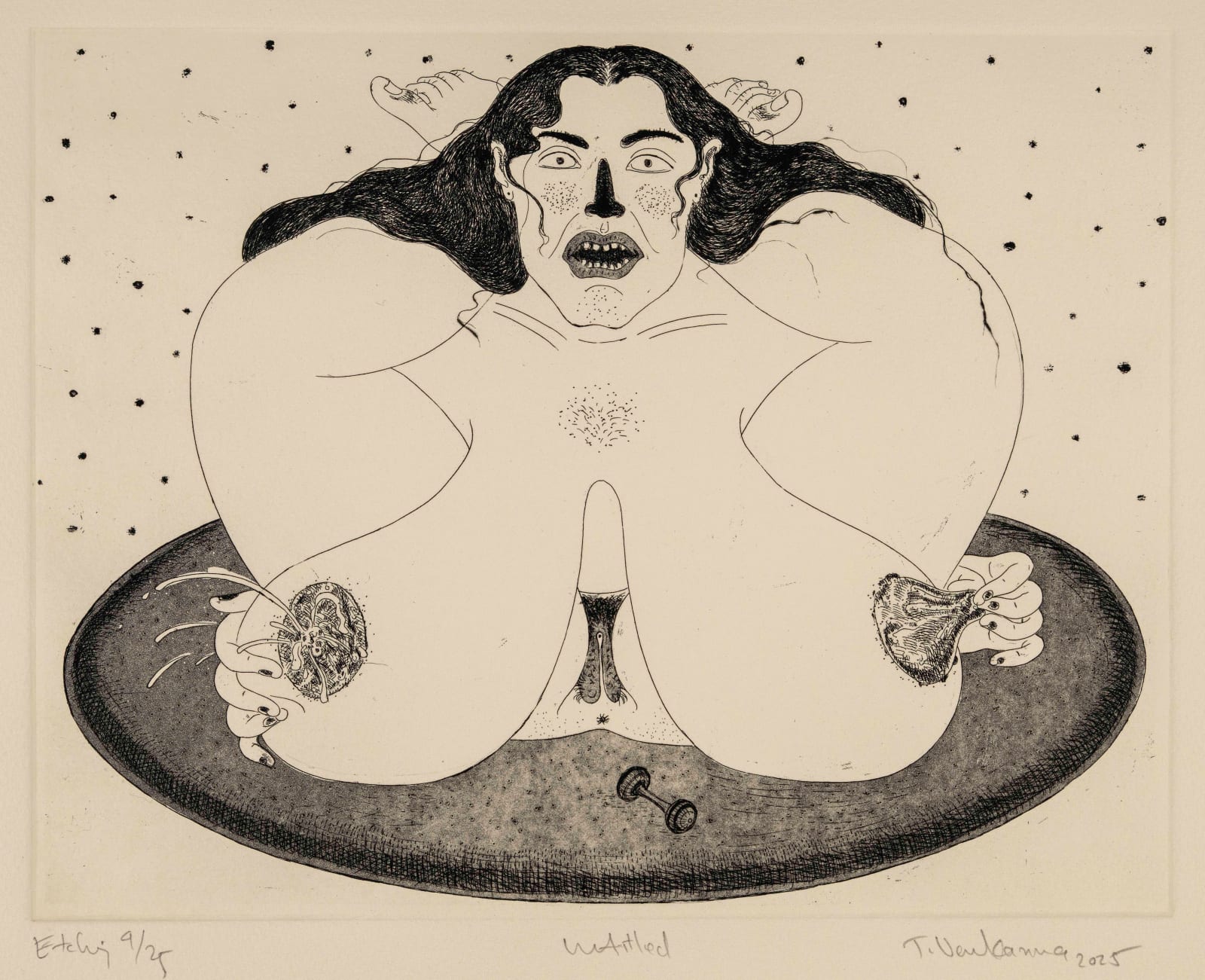 24.5 x 31.5 cm