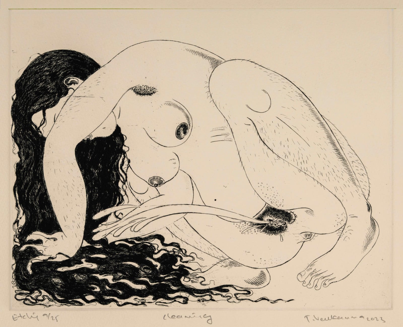 24.5 x 31.5 cm