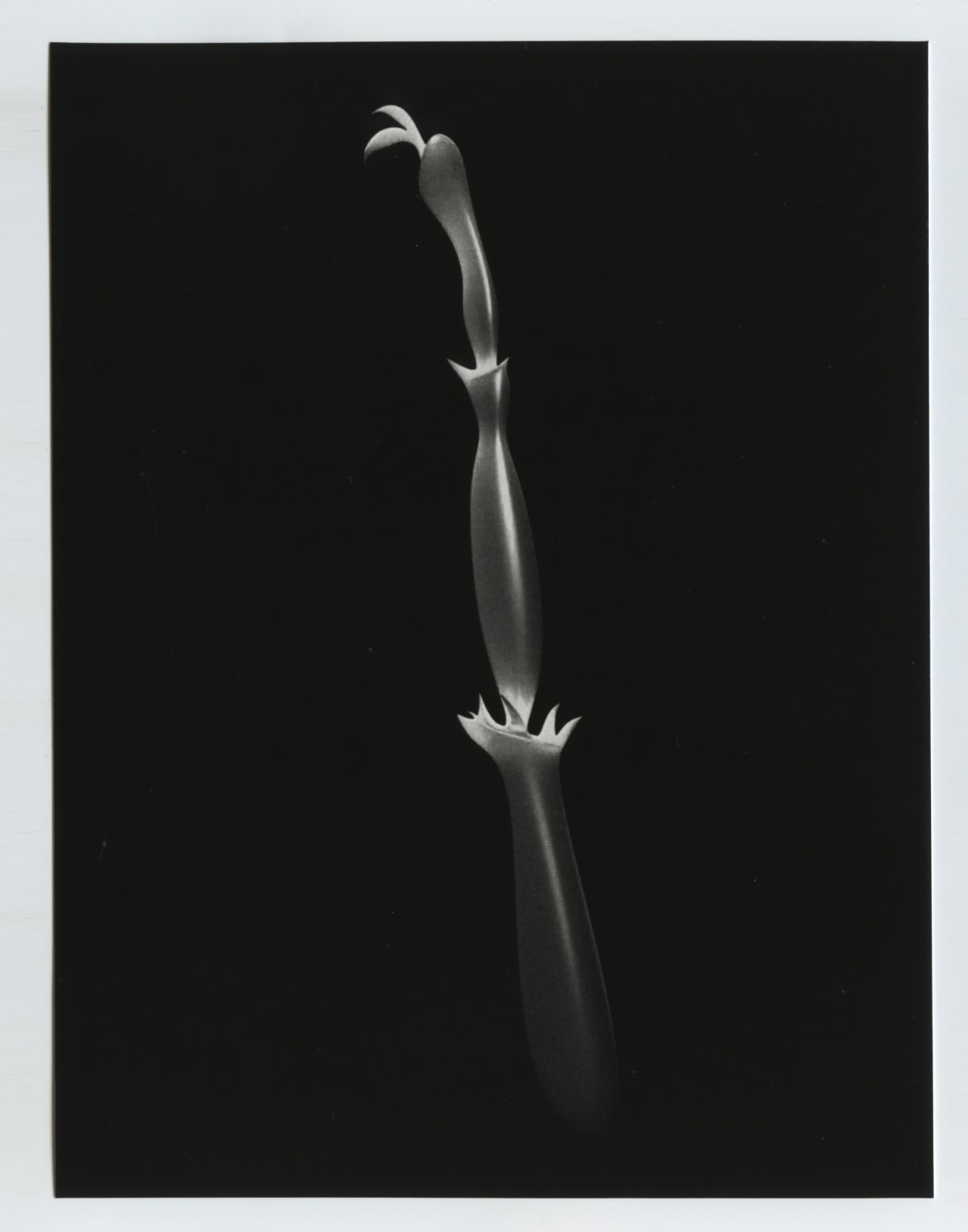 Abraham George, Song of Songs XVIII, 2018