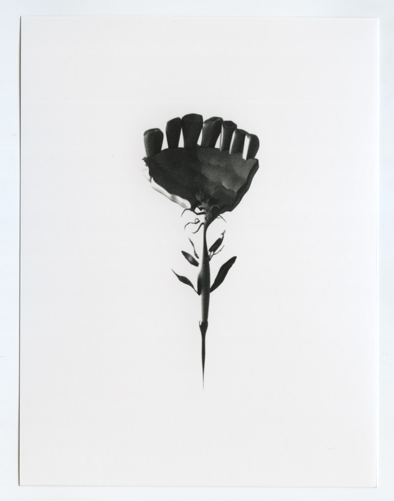 Abraham George, Song of Songs XII, 2018