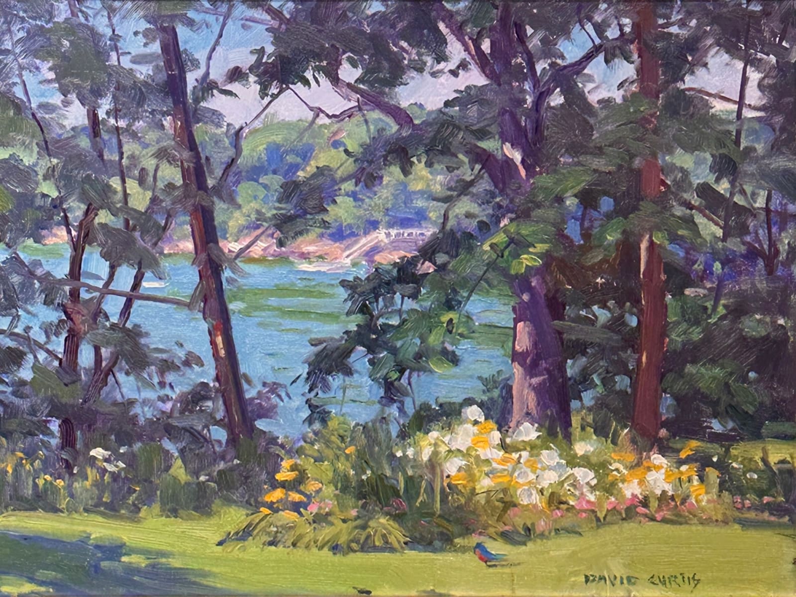 David P. Curtis (1950-2021), Through the Trees