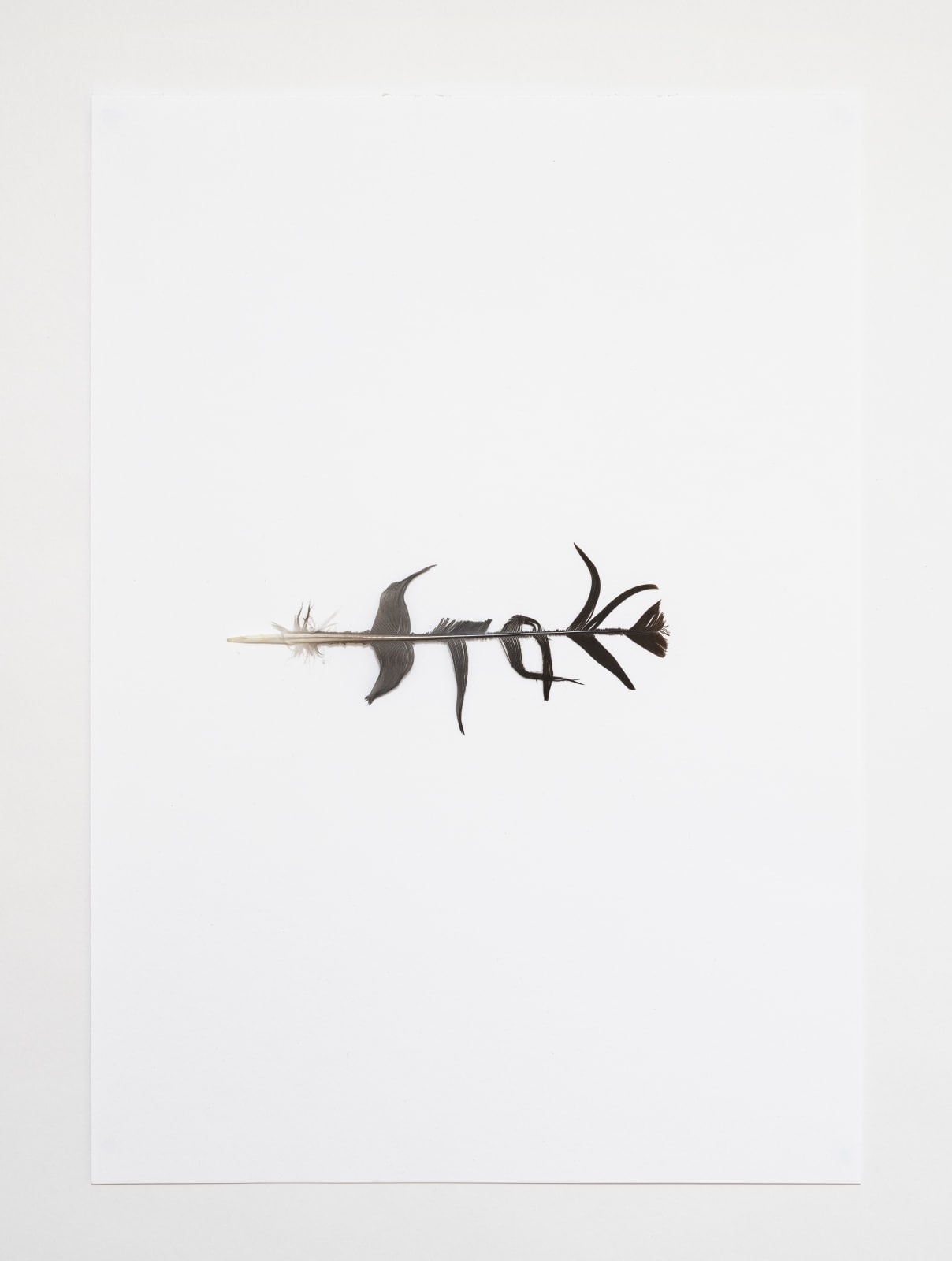 Sonia Elizabeth Barrett, Stay 1, 2019