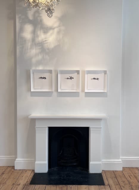 Sonia Elizabeth Barrett, Stay 1, 2019