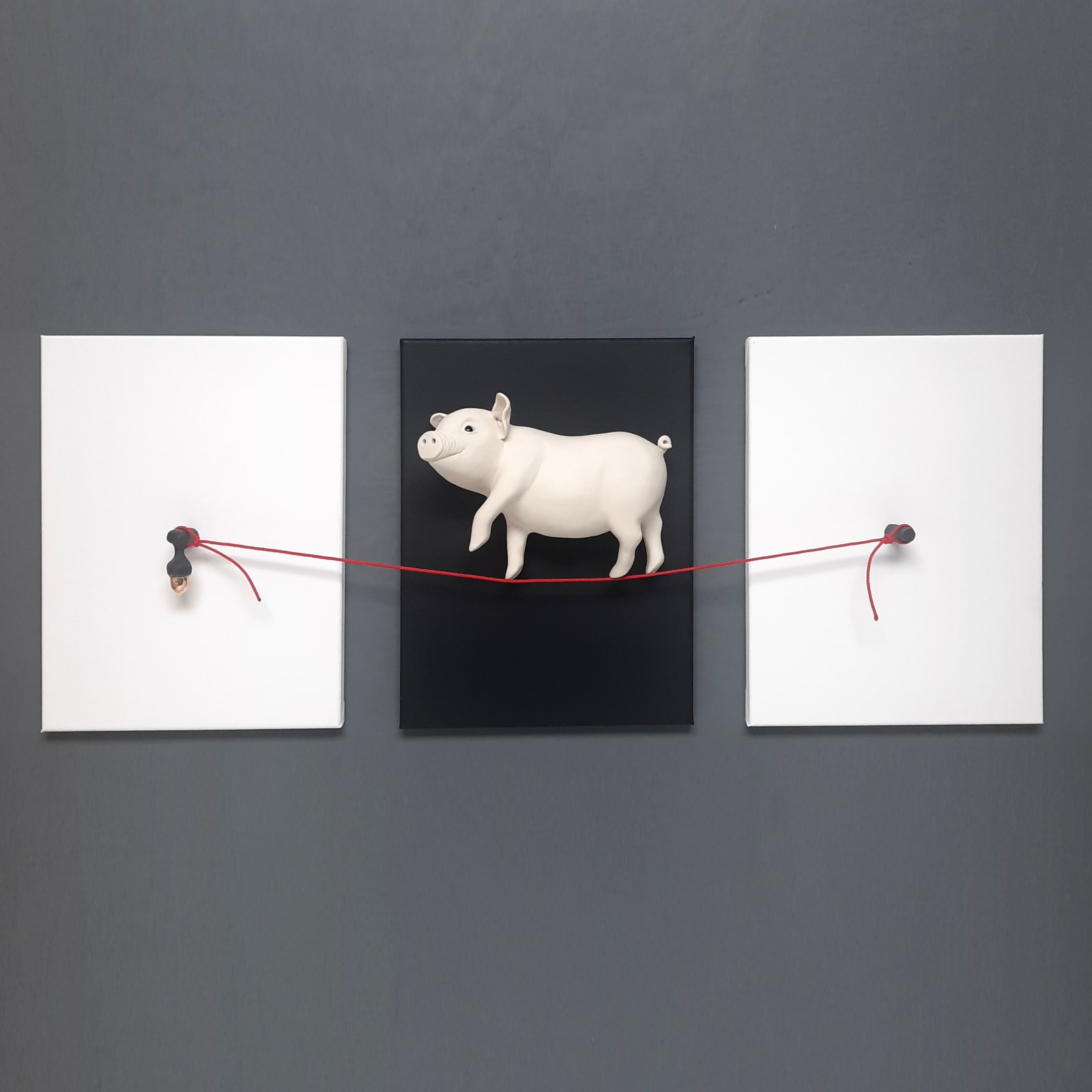 Henk Jan Sanderman, When pigs fly - biggetje