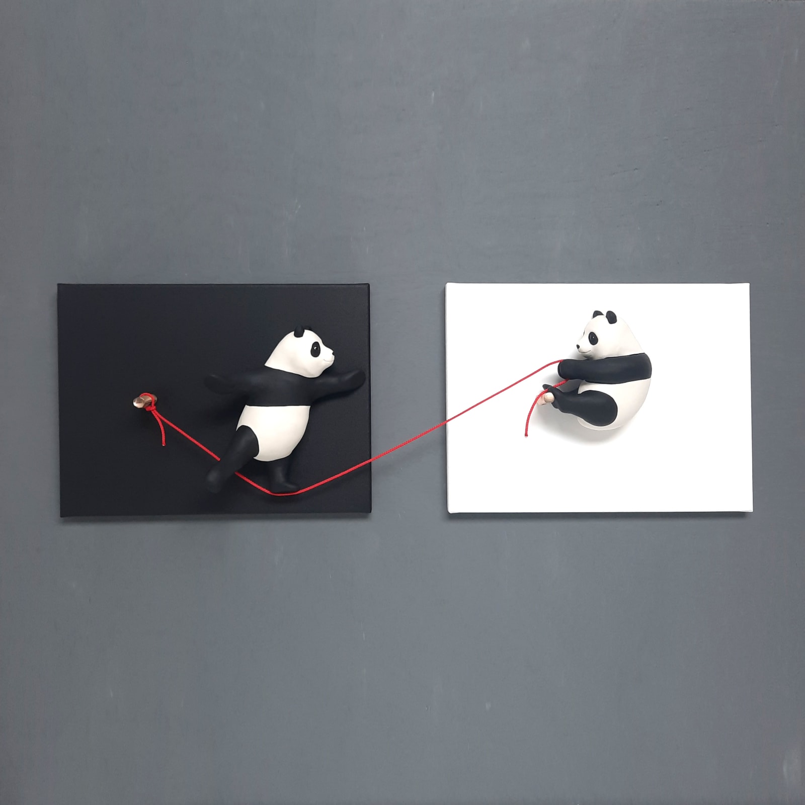 Henk Jan Sanderman, Leap of faith - panda's