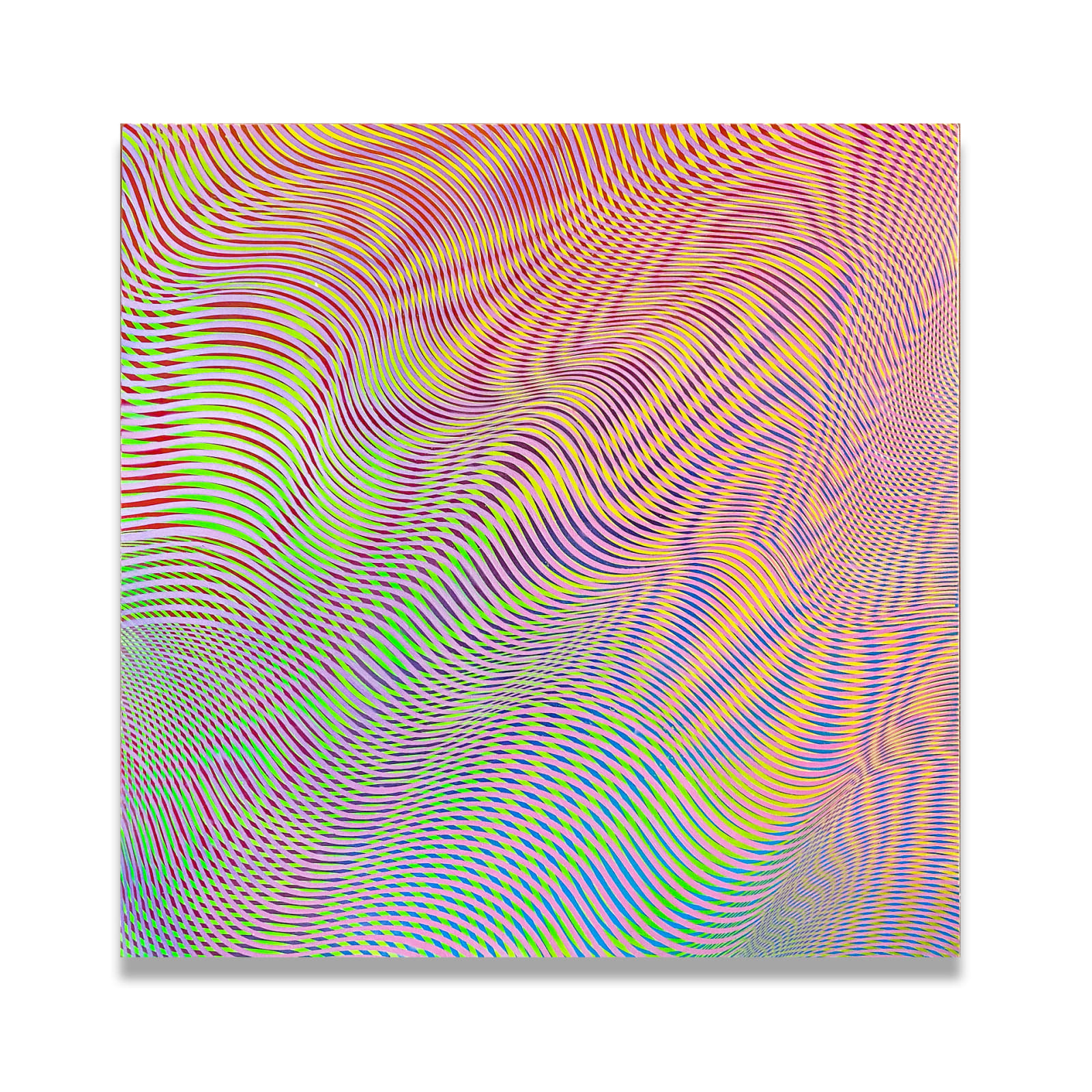 Ashna Malik, Distort LV, 2023