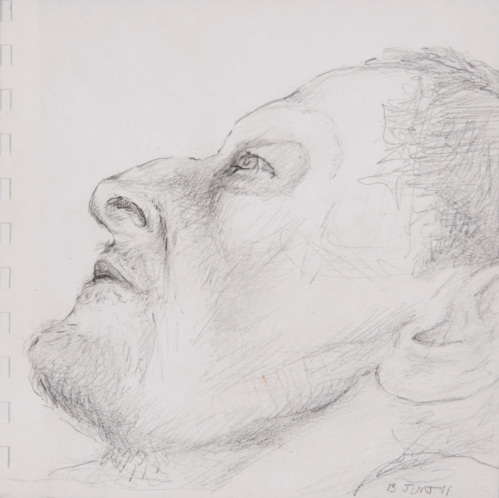 Jane McAdam Freud, Drawing 6, 2011