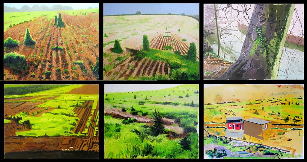 Alison Gill/ Iain Nicholls, Paintings in Veil