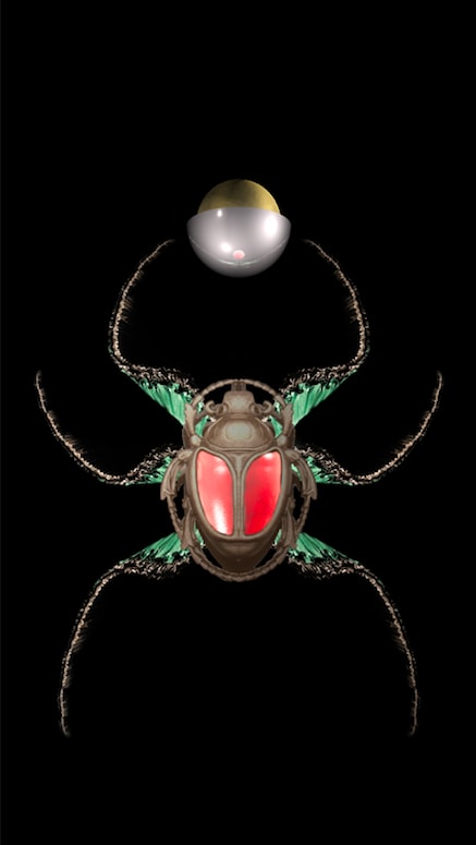 Mattia Casalegno, Scarabaeus [Zoomorph 2.1] / IL GESTO SOSPESO SERIES, 2010