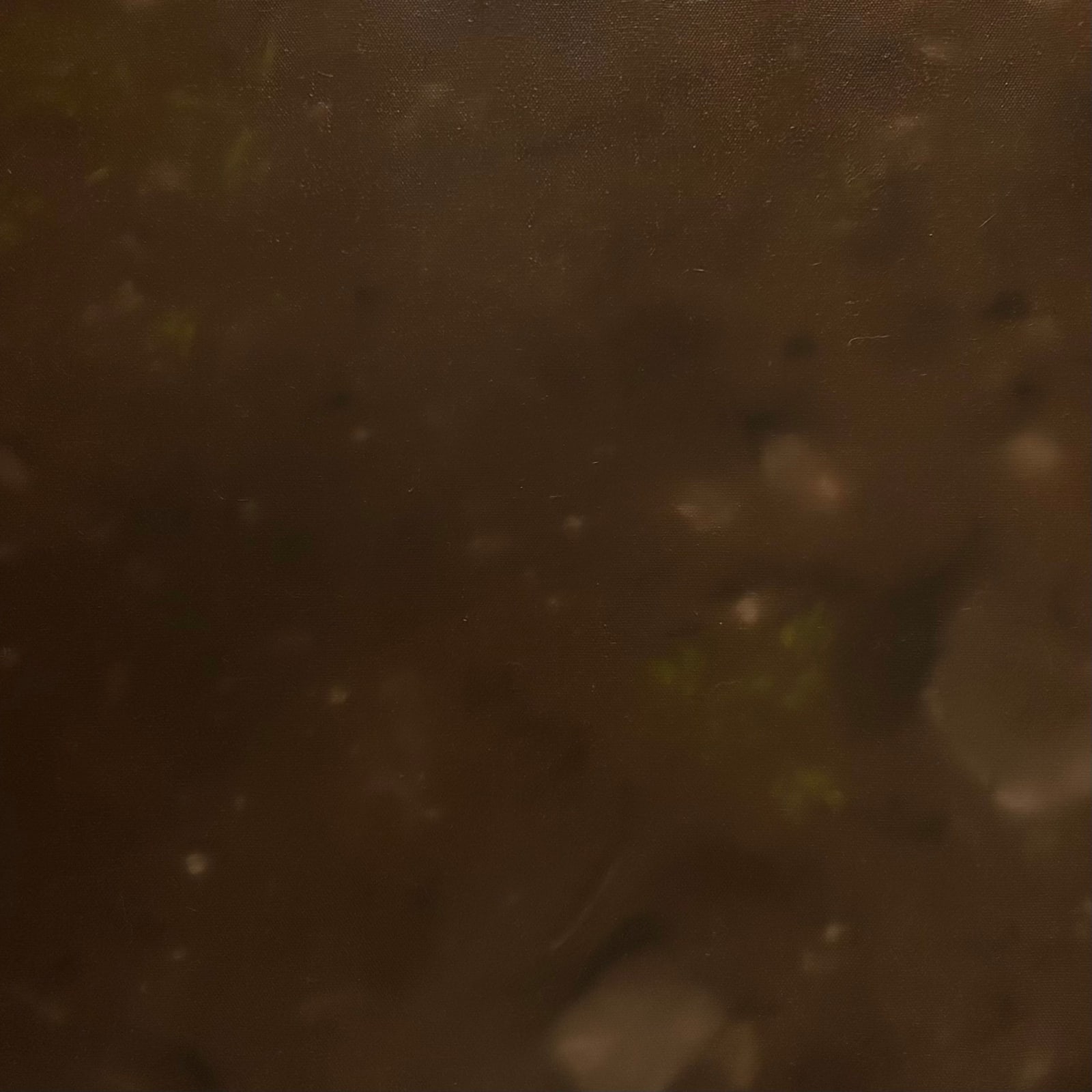 Maryam Yusifaliyeva, Sensuality, 2024