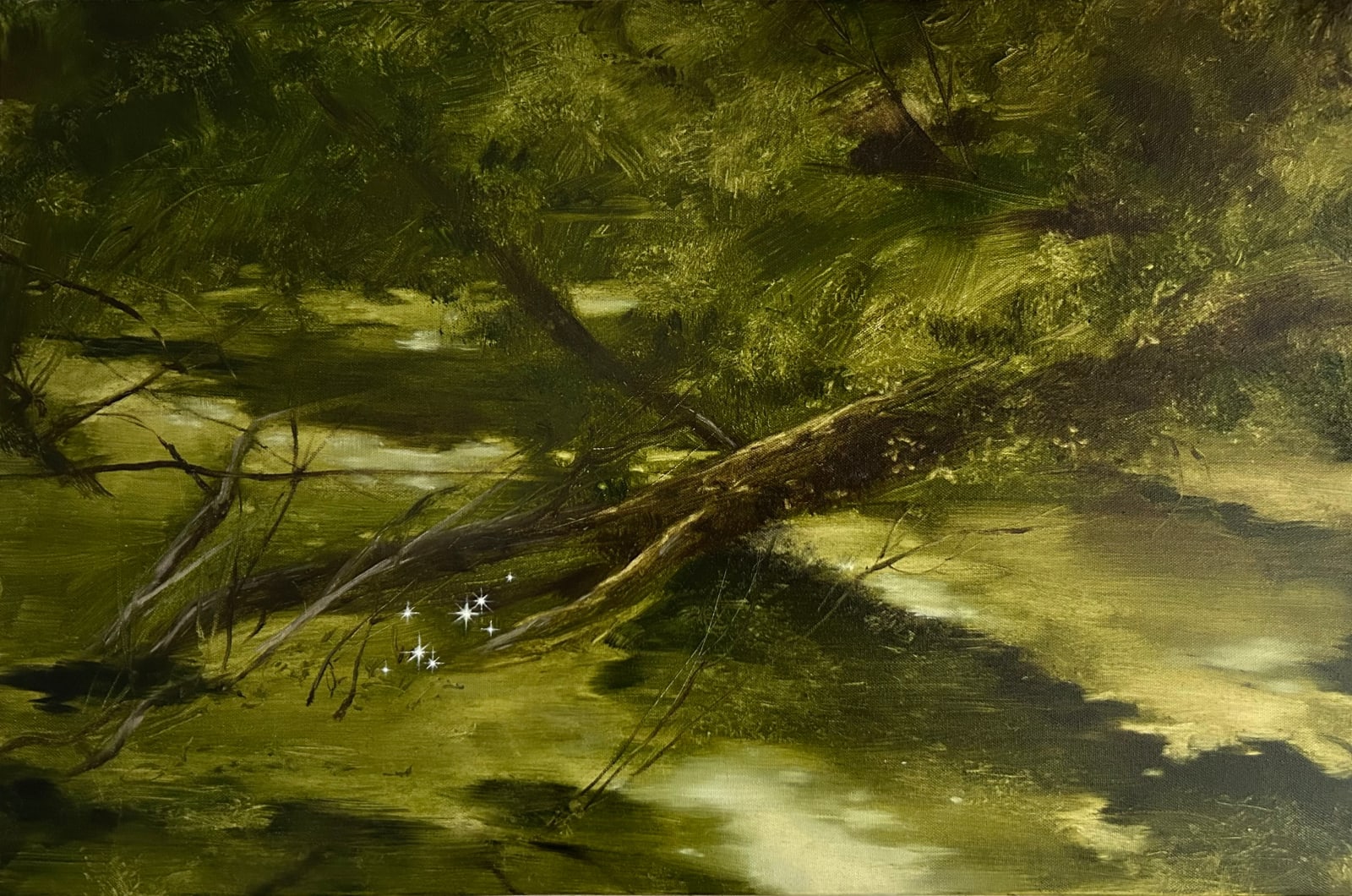 Maryam Yusifaliyeva, Hint, 2024