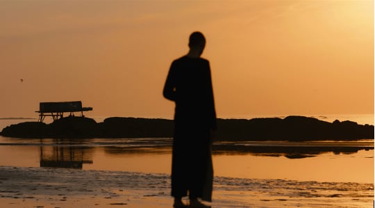 Echo Activism Collective, Echoactivism I, 2025