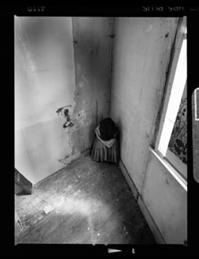 Charlotte Colbert, Eat-in Kitchen, 2013