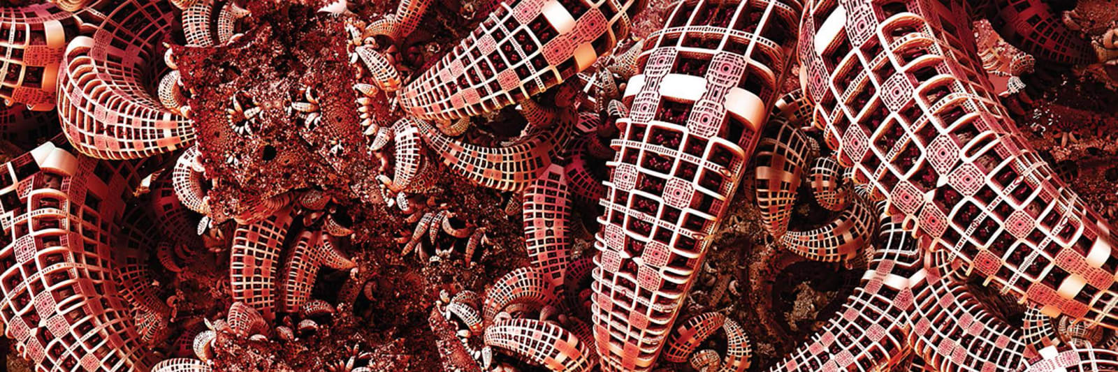 Ozan Turkkan, Verum Corpus #2, 2018