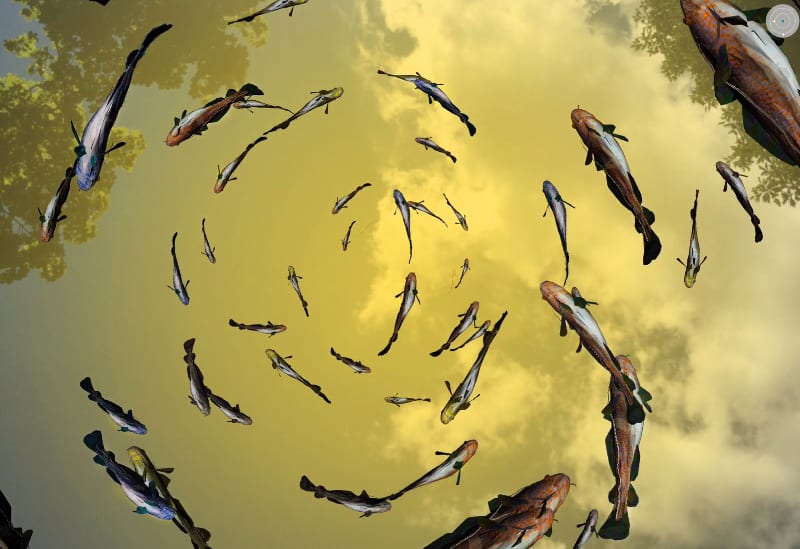 Will Pappenheimer, Ascension Of Cod