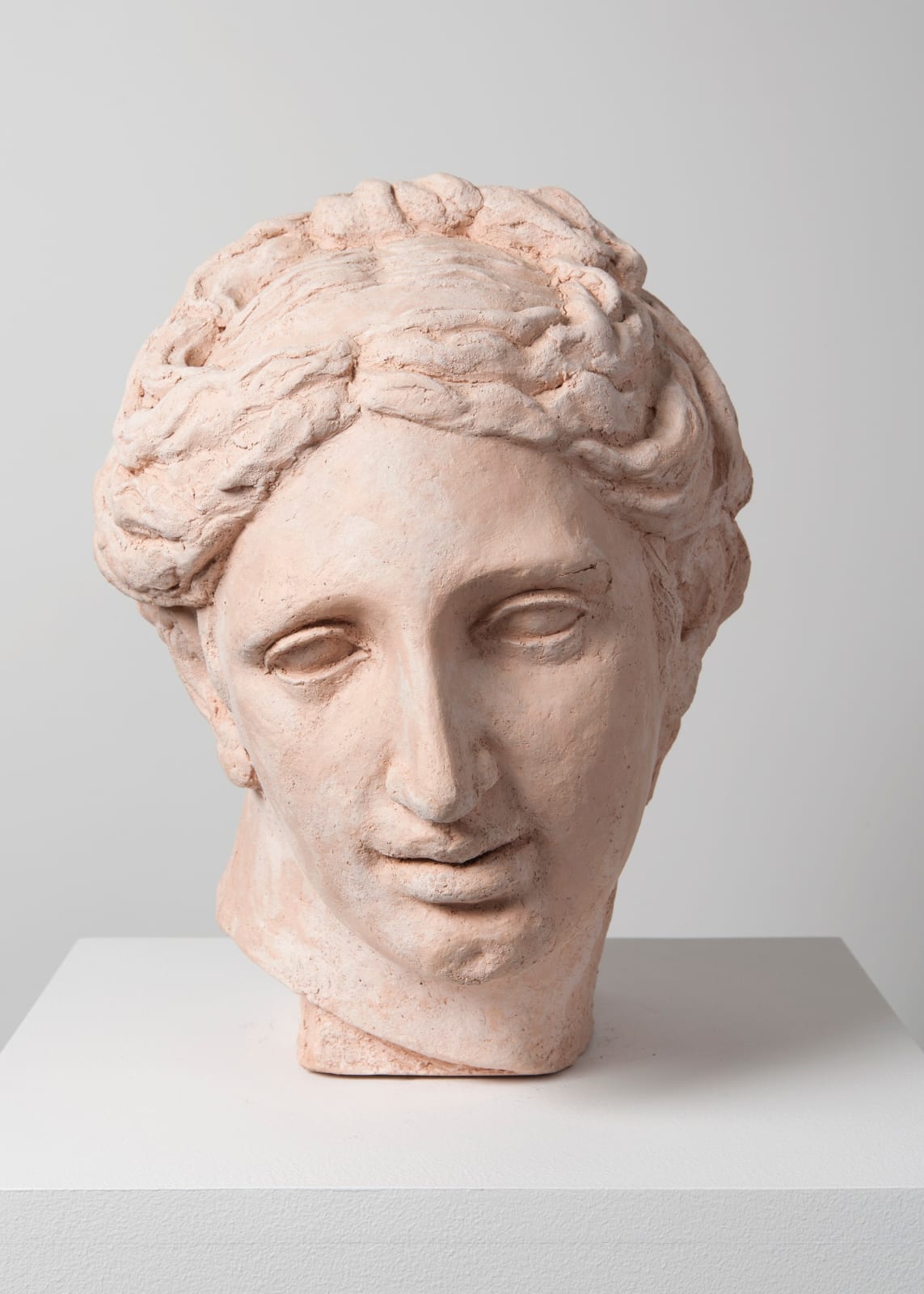 Jane McAdam Freud, Venus (Roman Bust), 2006