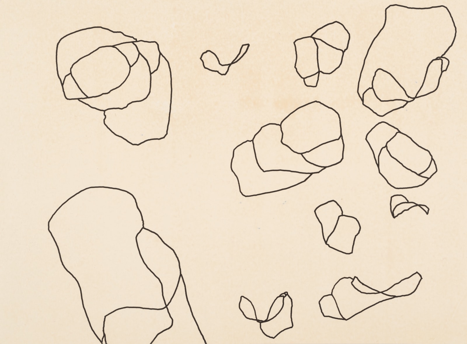 Harold Cohen, Untitled (i23-3929), 1973-1974