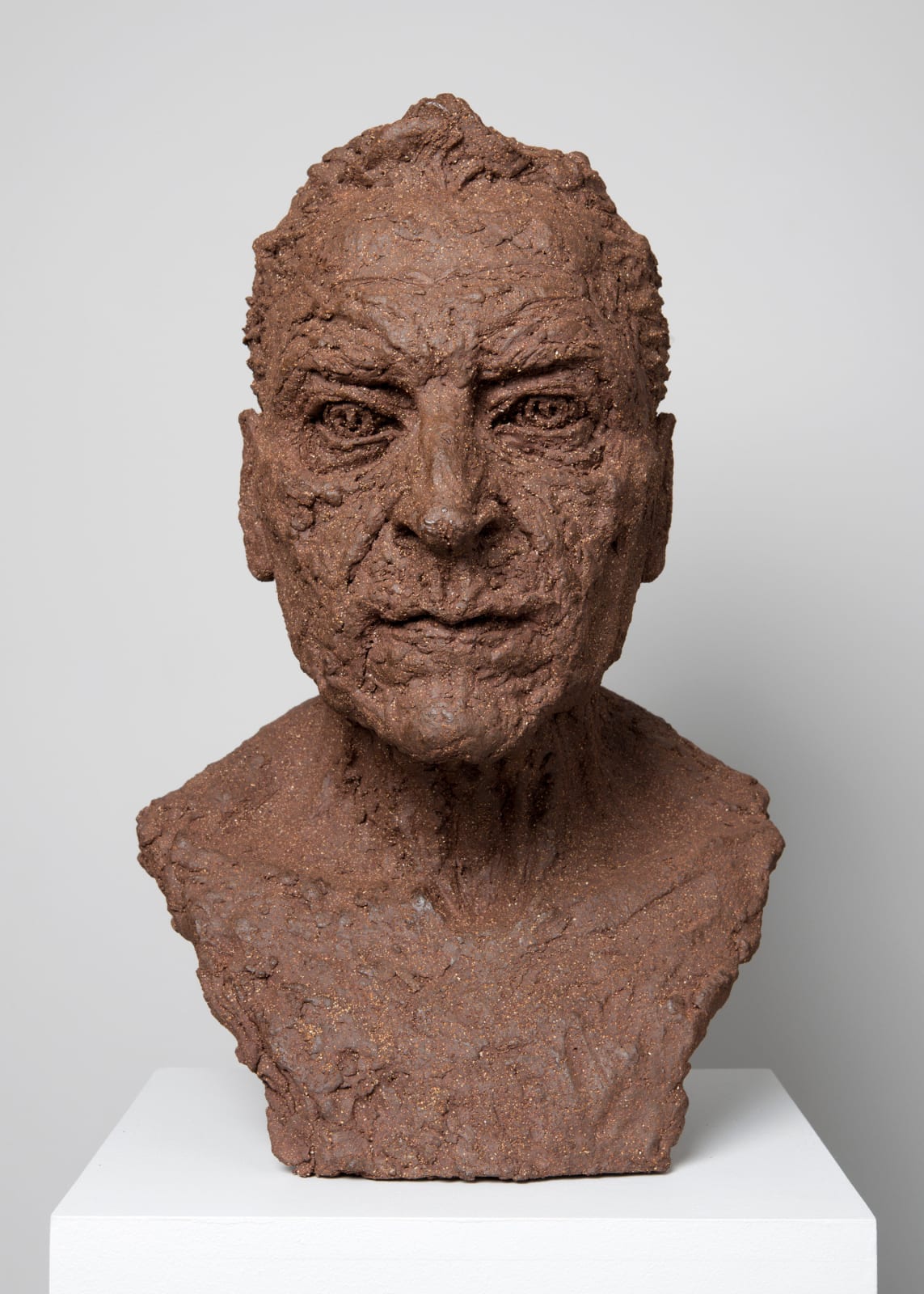 Jane McAdam Freud, Portrait of my Father, 2012