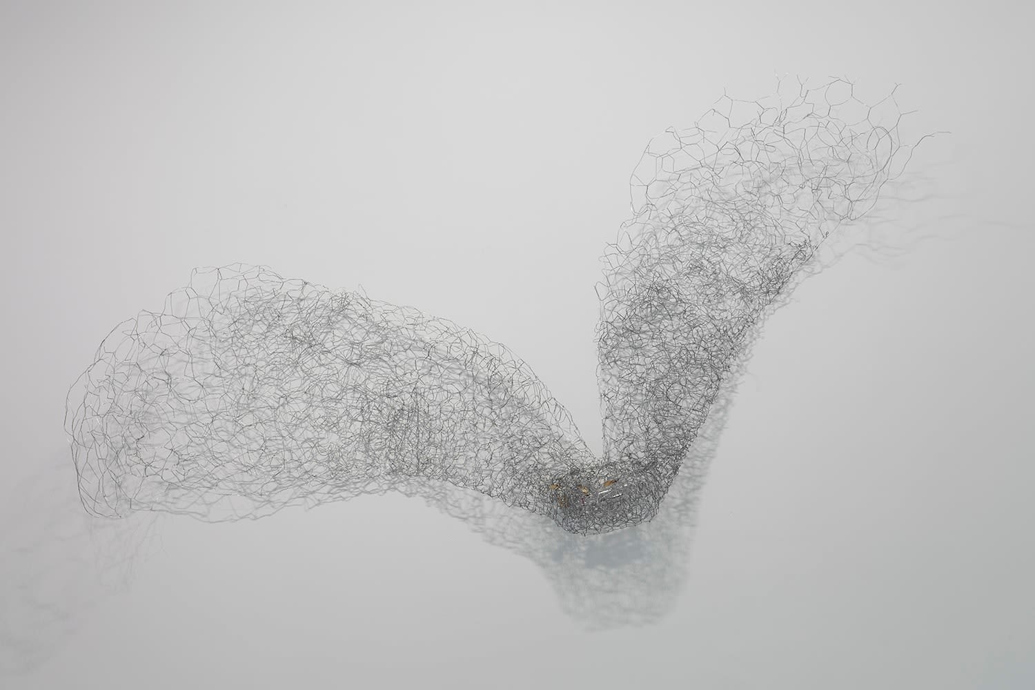 Jane McAdam Freud, Seed, Still - Fall, 2014