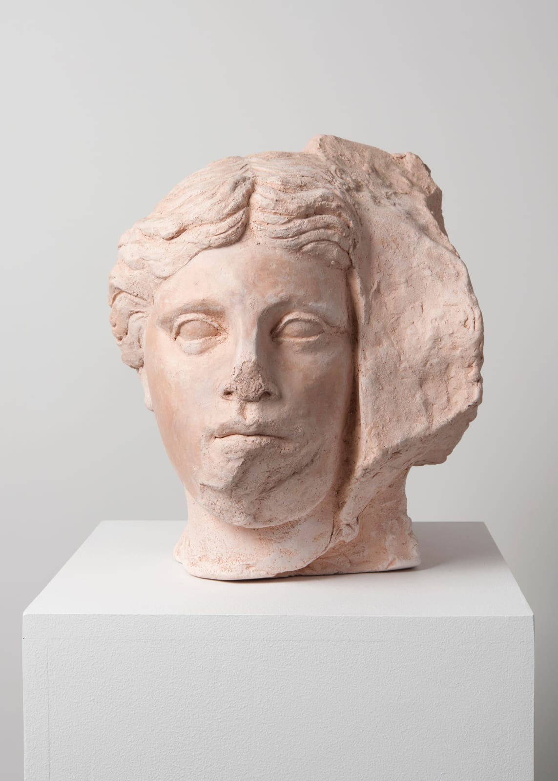 Jane McAdam Freud, Aphrodite (Greek Bust), 2006