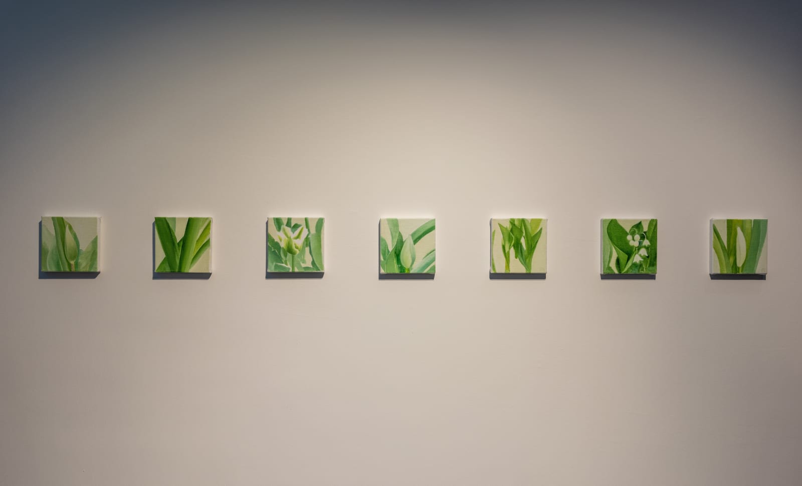 Regina Rzayeva, Fragments, 2025