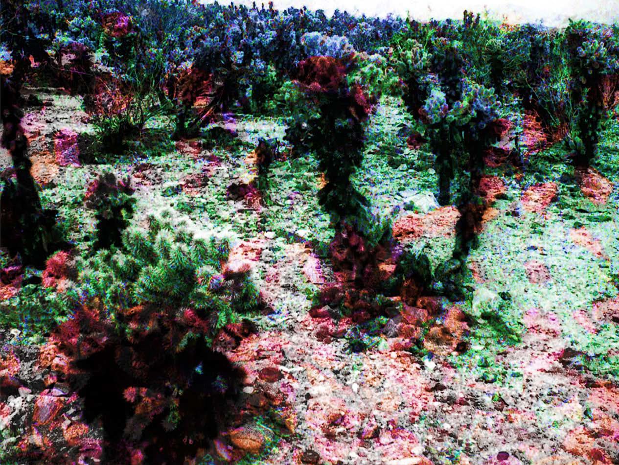 Basma Alsharif, High Noon 2, 2015