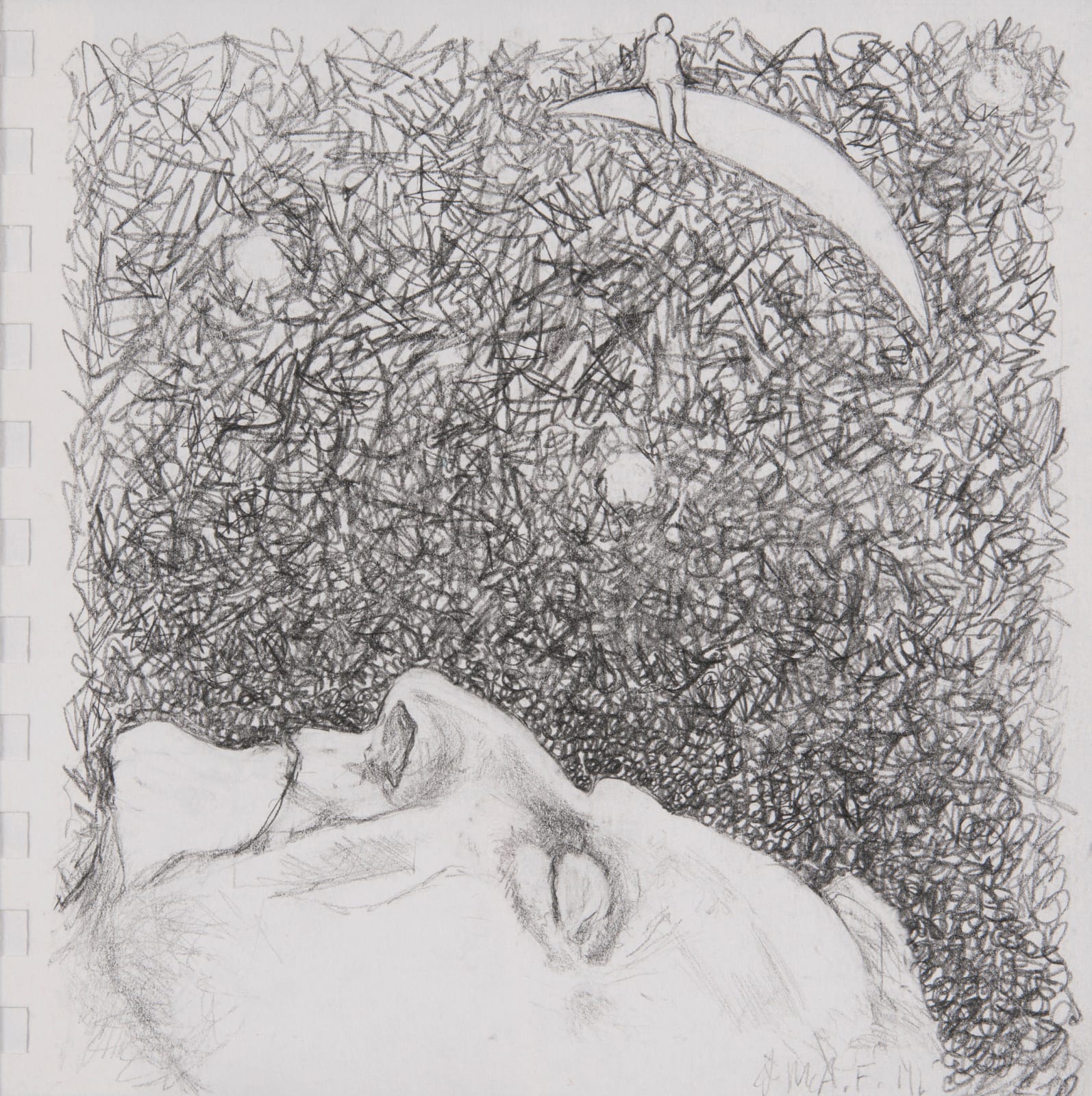 Jane McAdam Freud, Drawing 2, 2011