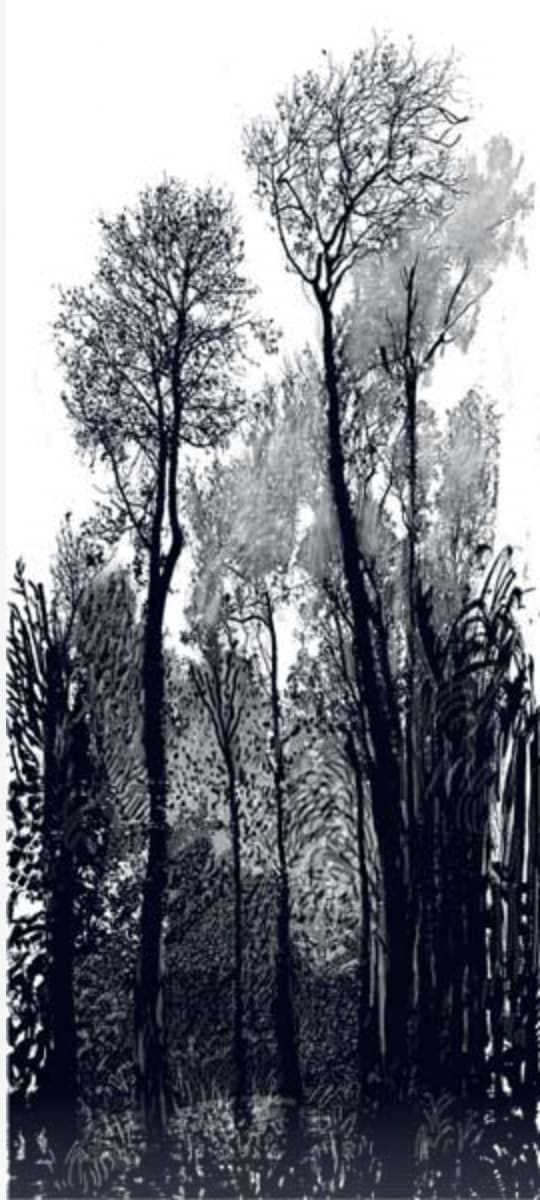 David Hockney, Tall Black Trees, 2008