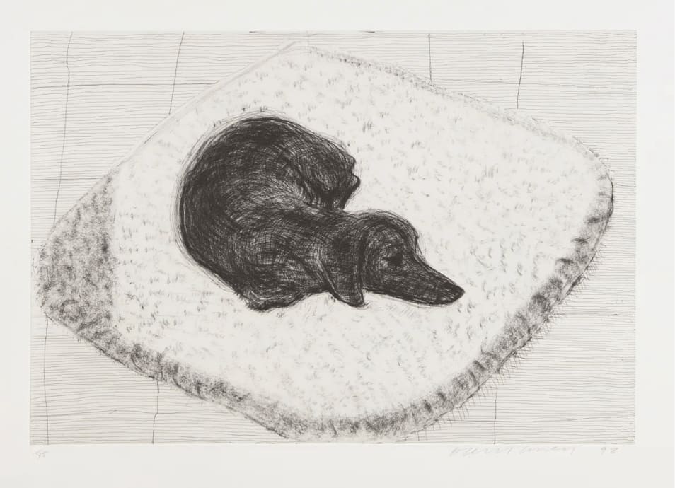 David Hockney, Dog Etching No. 12, 1998