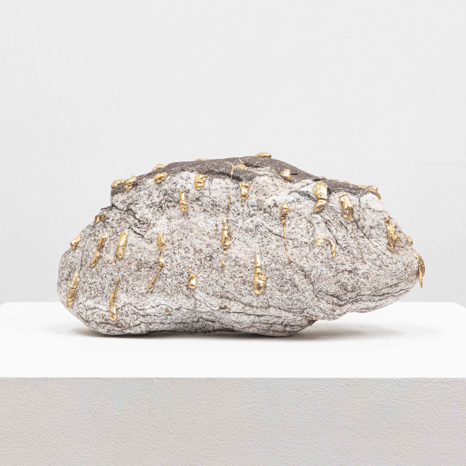 Nobuhito Nishigawara, Qualia #491, 2024