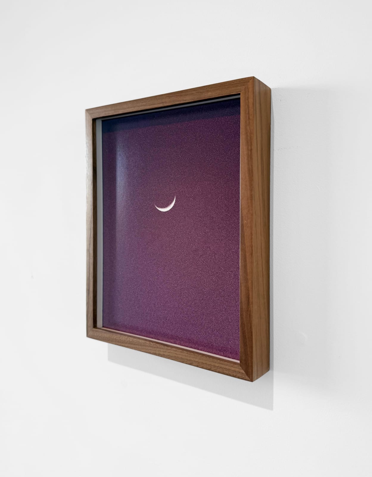 Katie Shapiro, Cranberry Moon, 2025