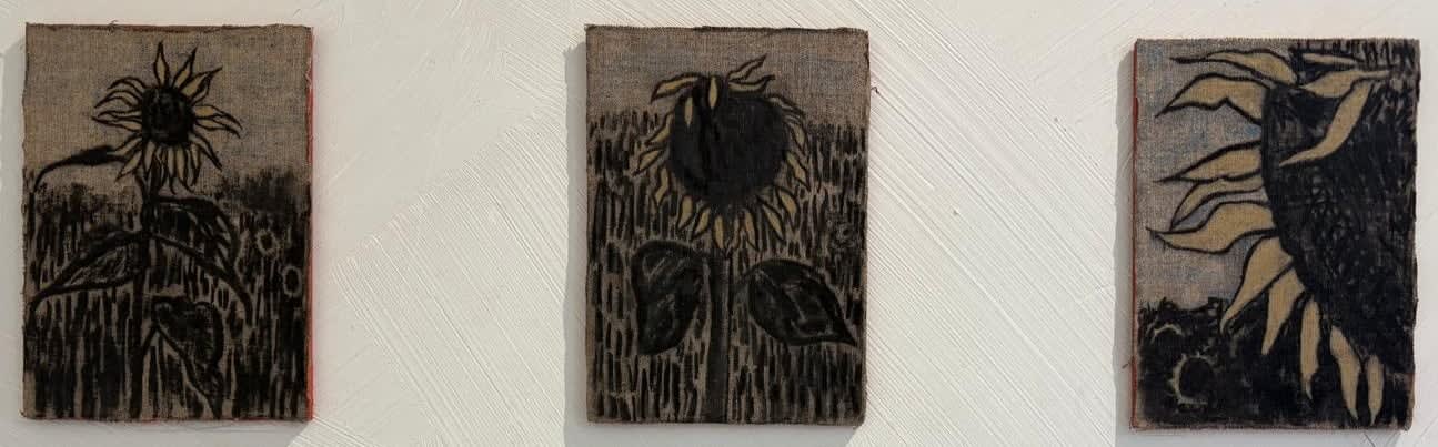 Harry Reed, Sunflower Study I-VI, 2025
