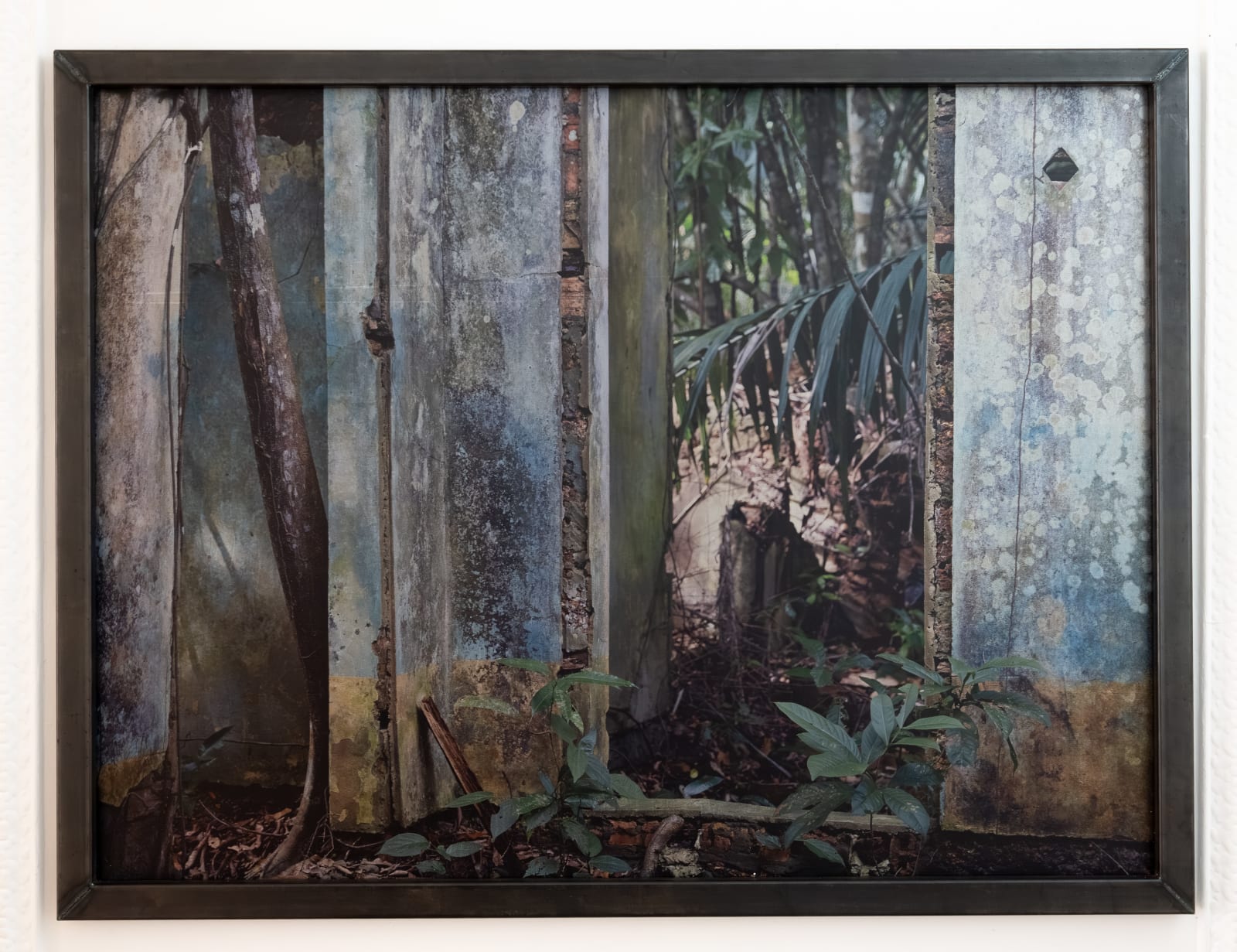 Wilhelm Moser, Paricatuba, 2024