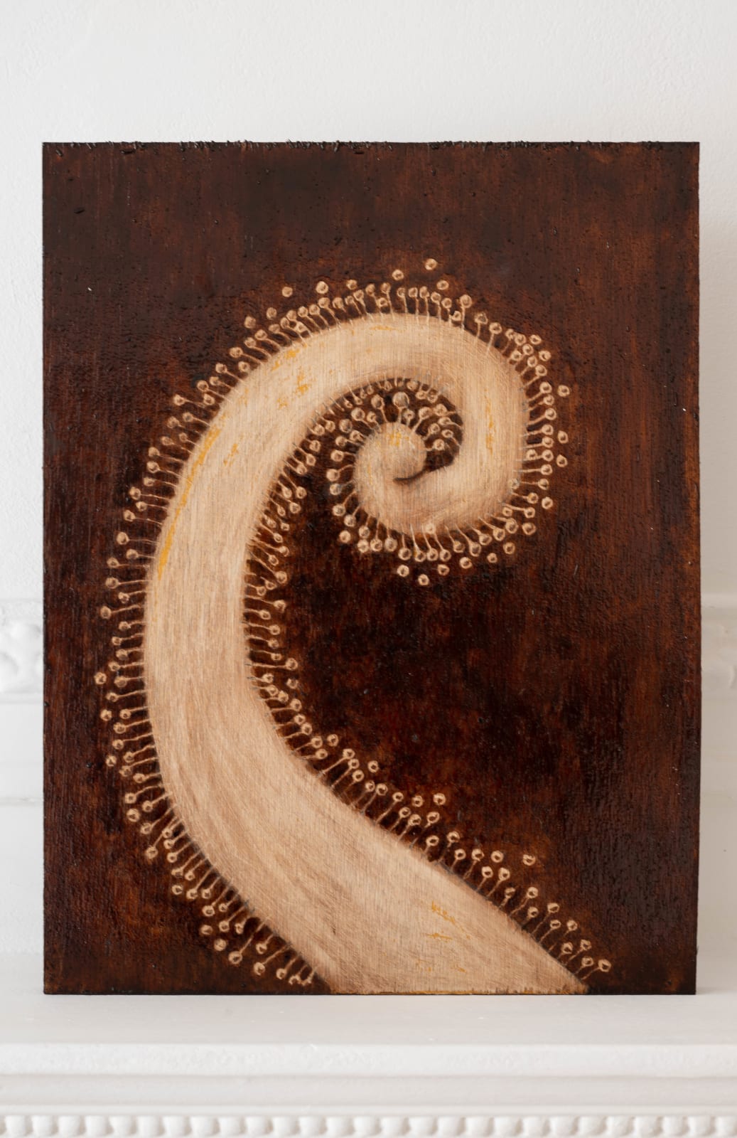 Orfeo Tagiuri, Staghorn (Drosera Binata), 2023