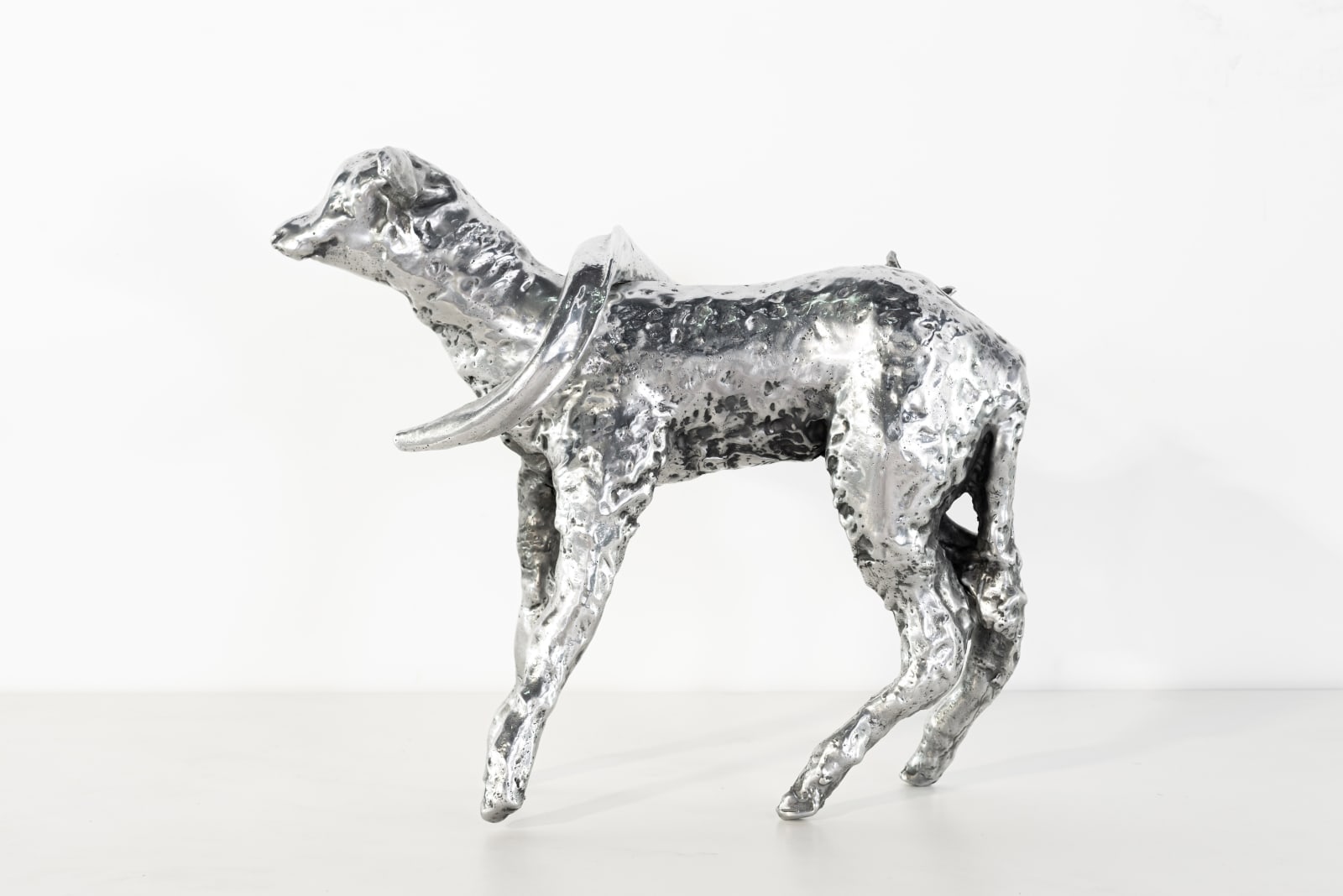 Levi De Jong, Lamb, 2024