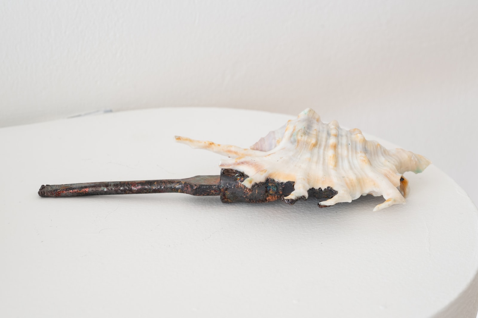 Emma Witter, Unidentified Object, 2024